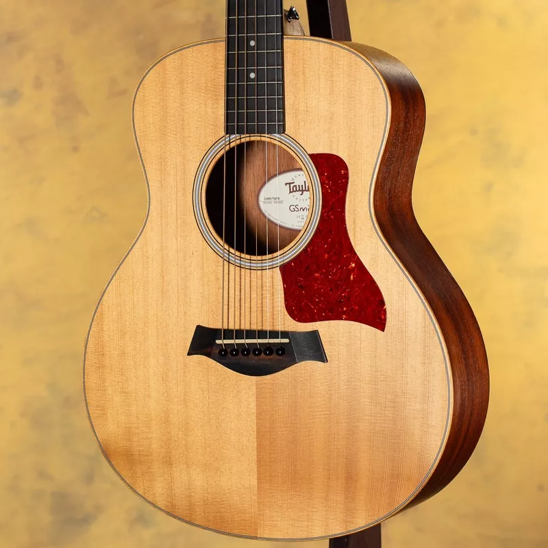 2015-taylor-gs-mini-w-skb-hard-case 2015 Taylor GS Mini w/ SKB Hard Case