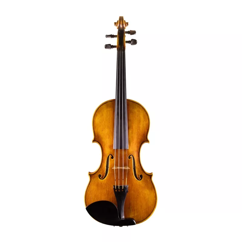 ANDREW CARRUTHERS VIOLIN