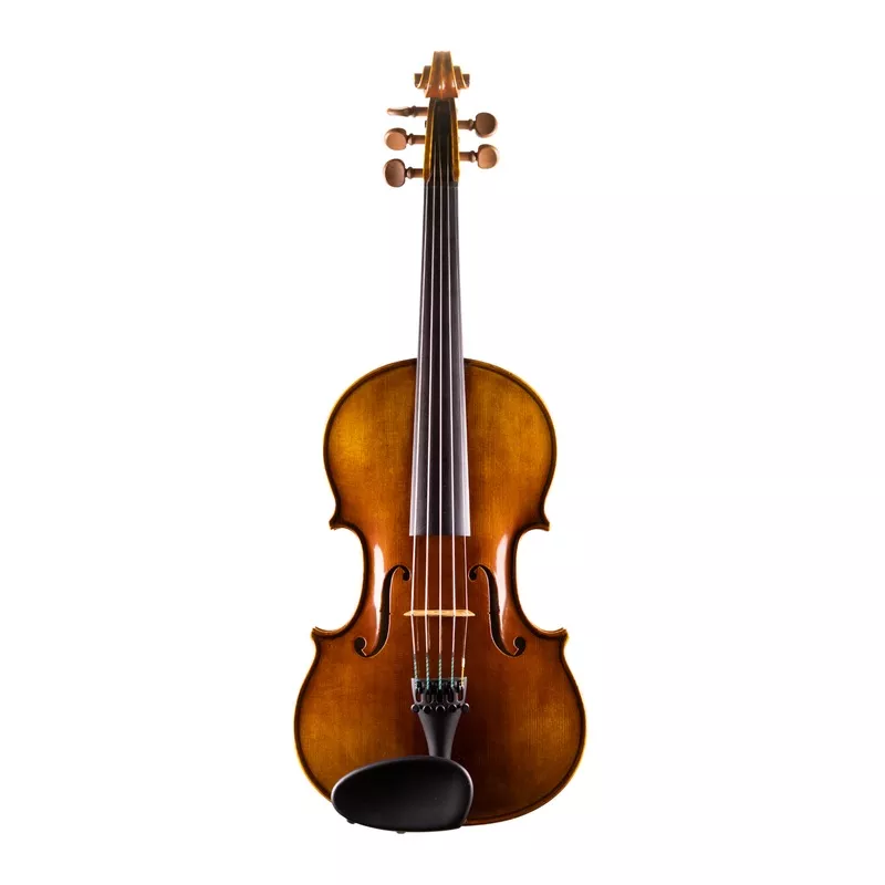 AVANTGARDE VIOLINS 5-STRING VIOLIN