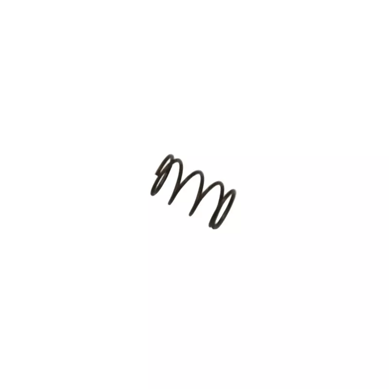Bach Commercial Bb Trumpet Amado Water Key Spring