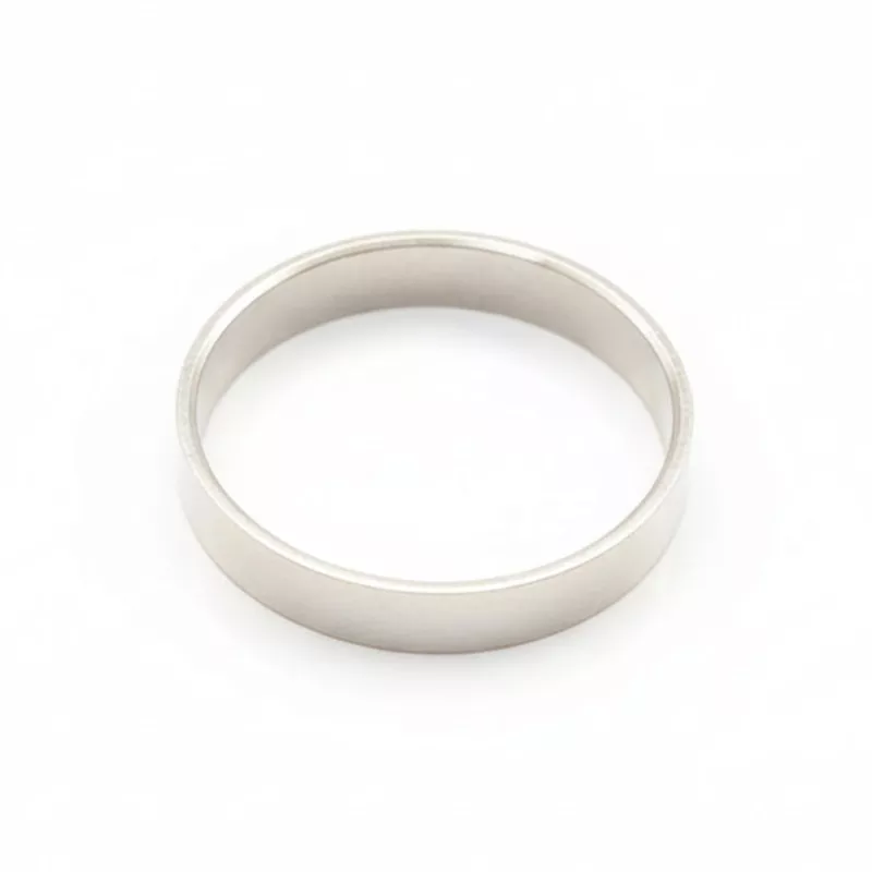 Bach Stradivarius Trombone Cork Ring