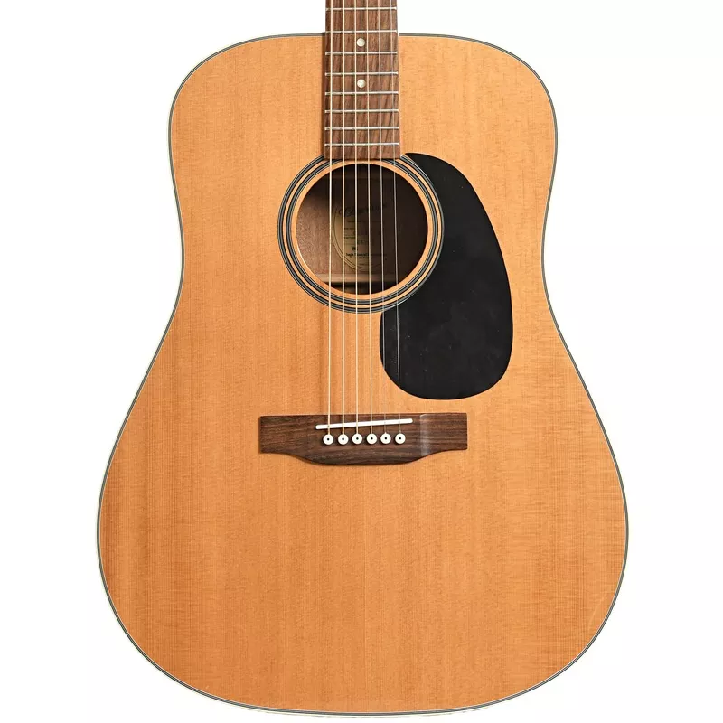 blueridge-br-60-acoustic-guitar-2008 Blueridge BR-60 Acoustic Guitar (2008)