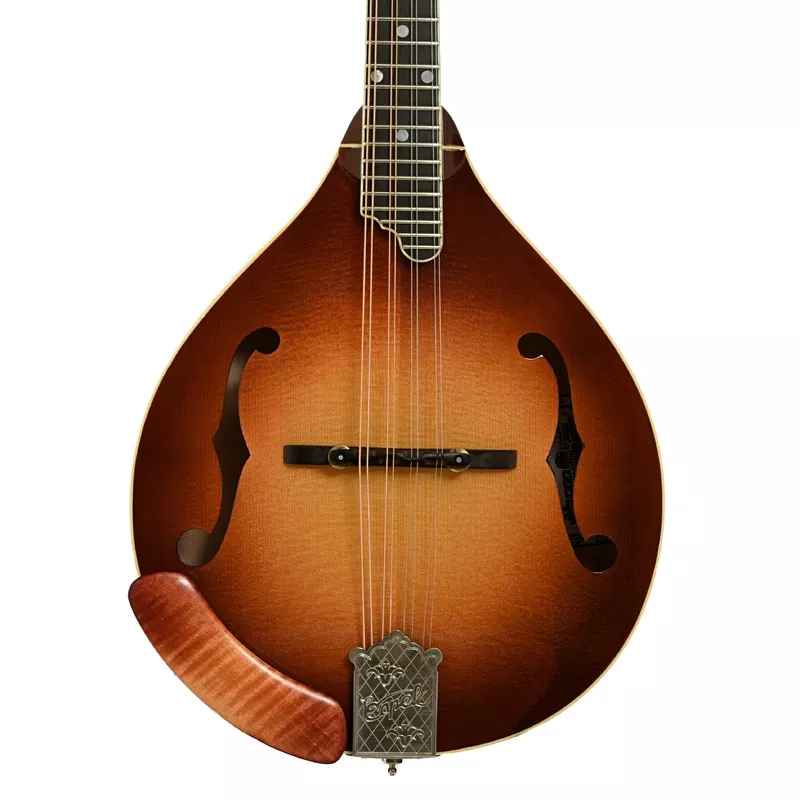 capek-a5-standard-mandolin-2004 Capek A5 Standard Mandolin (2004)