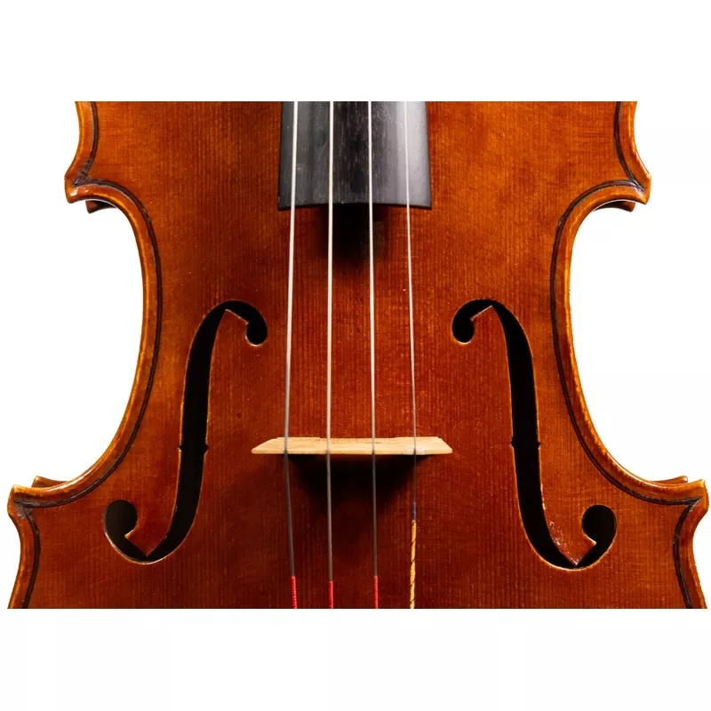 Catalin Quercinola Viola, Eudora, 2025, 15 3/4″ w/ Certificate