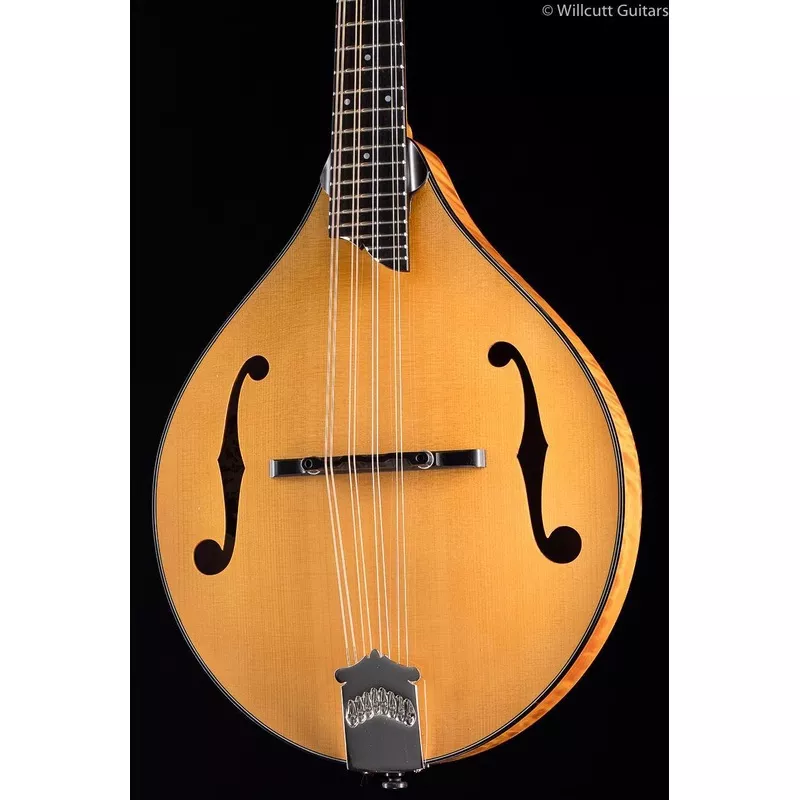 collings-mt-gloss-top-759 Collings MT Gloss Top (759)