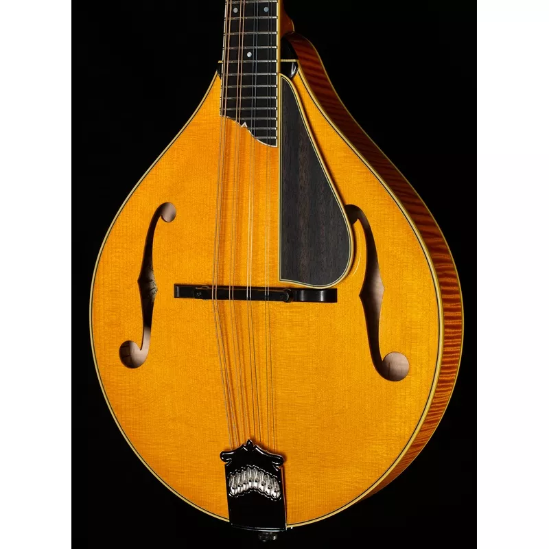 collings-mt2-v-mandolin-662 Collings MT2 V Mandolin (662)