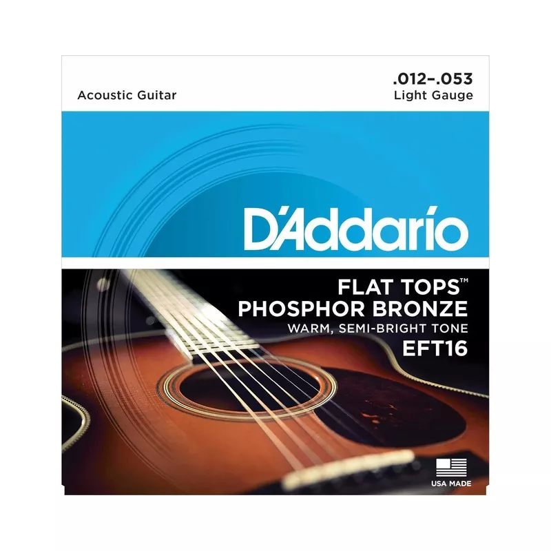 D’Addario EFT16 Flat Tops Phosphor Bronze Acoustic Guitar Strings, Light
