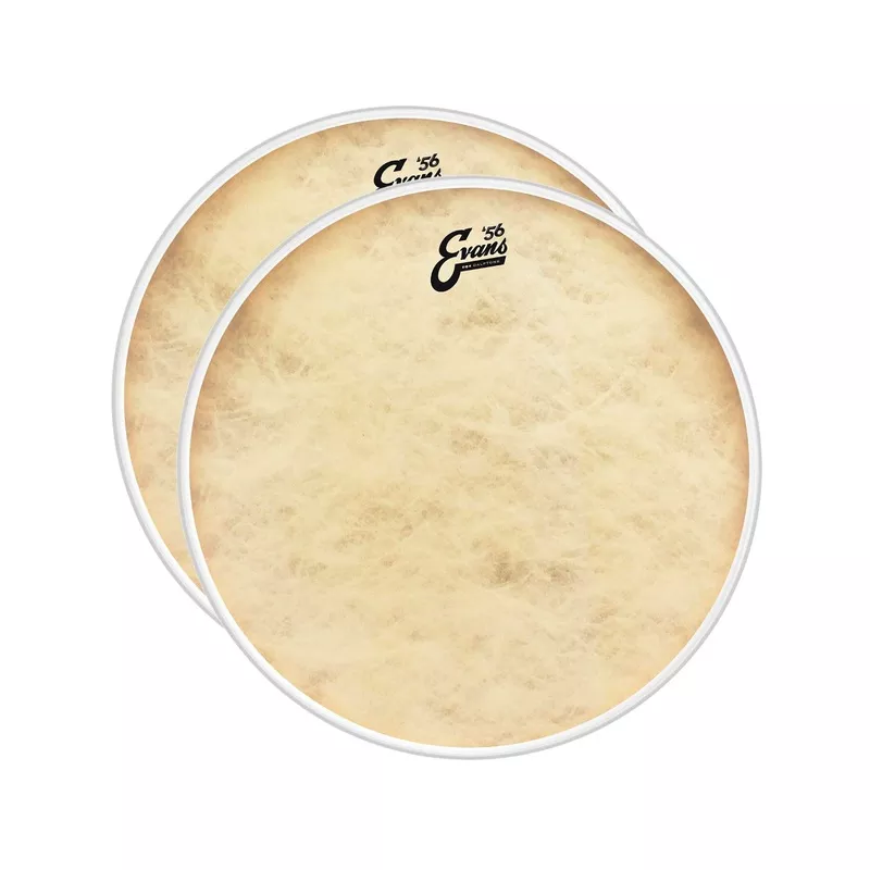 evans-16-eq4-calftone-tom-head-2-pack-bundle Evans 16″ EQ4 Calftone Tom Head (2 Pack Bundle)