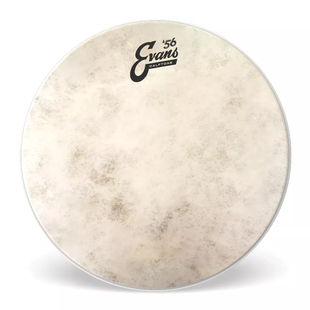 Evans Calftone TT10C7 10" Drum Head