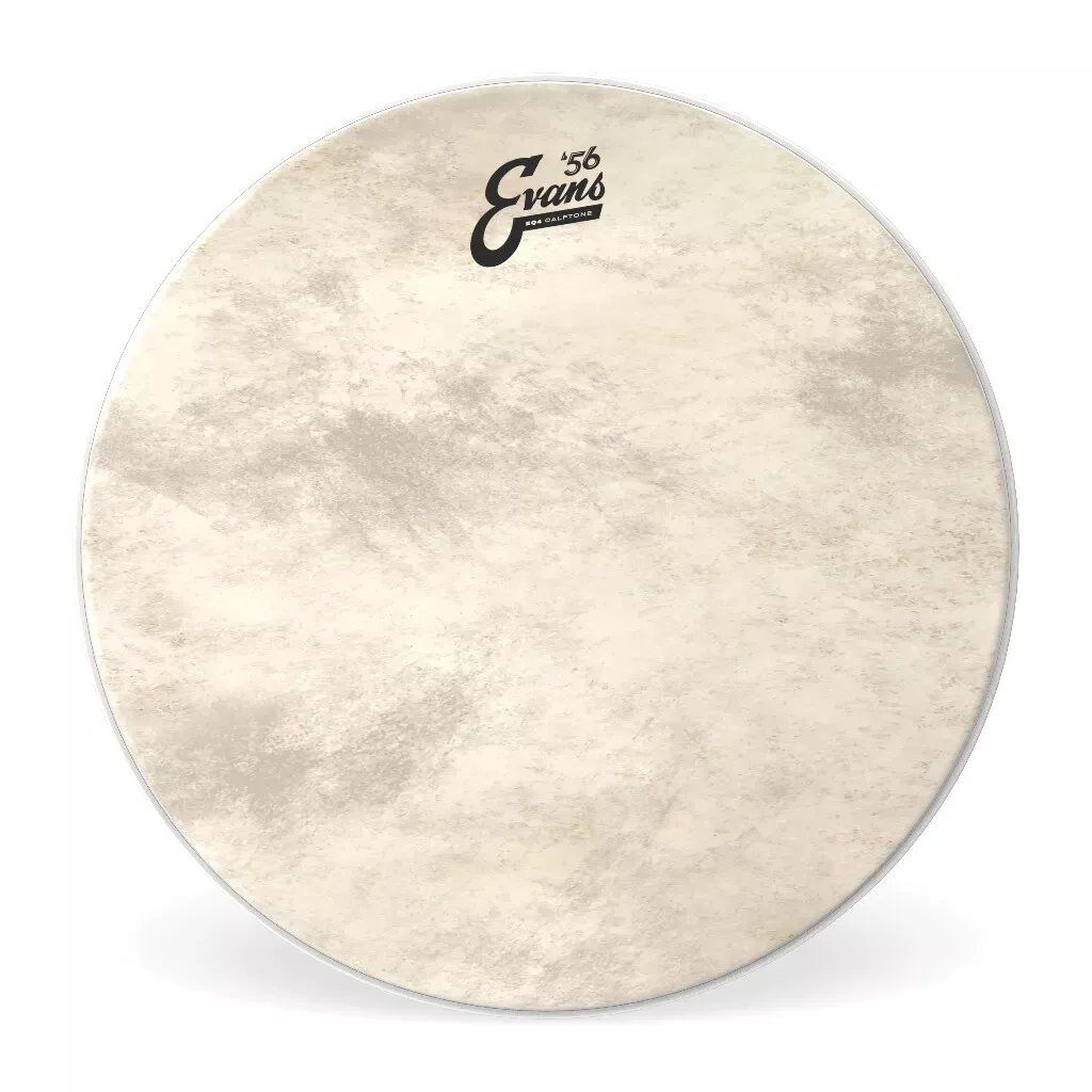 Evans EQ4 Calftone BD20GB4CT 20" Bass Drum Head