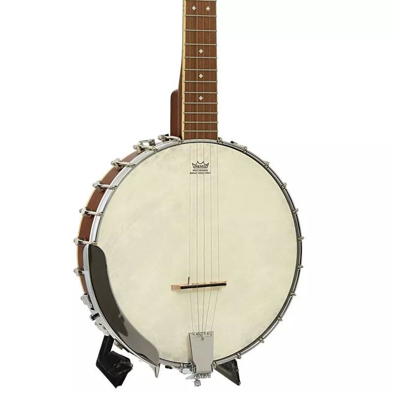 Fender Paramount PB-180E Open Back Banjo & Gigbag (Recent)