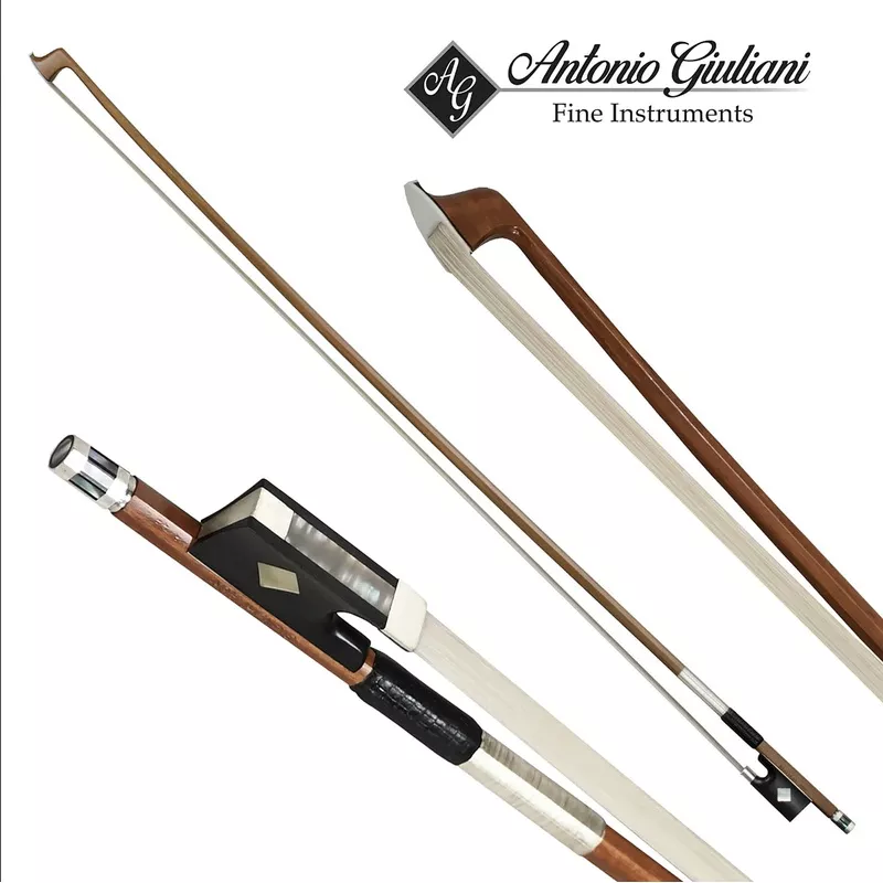 Giuliani Advanced Violin Bow
