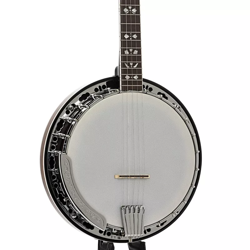Gold Tone BG-150F 5-String Resonator Banjo (2022)