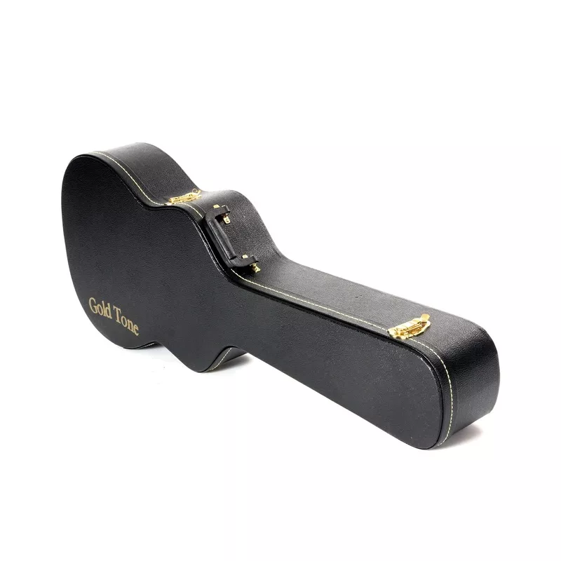 Gold Tone Dojo Case