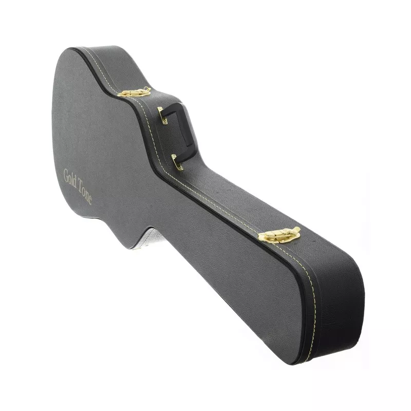 Gold Tone Weissenborn Case