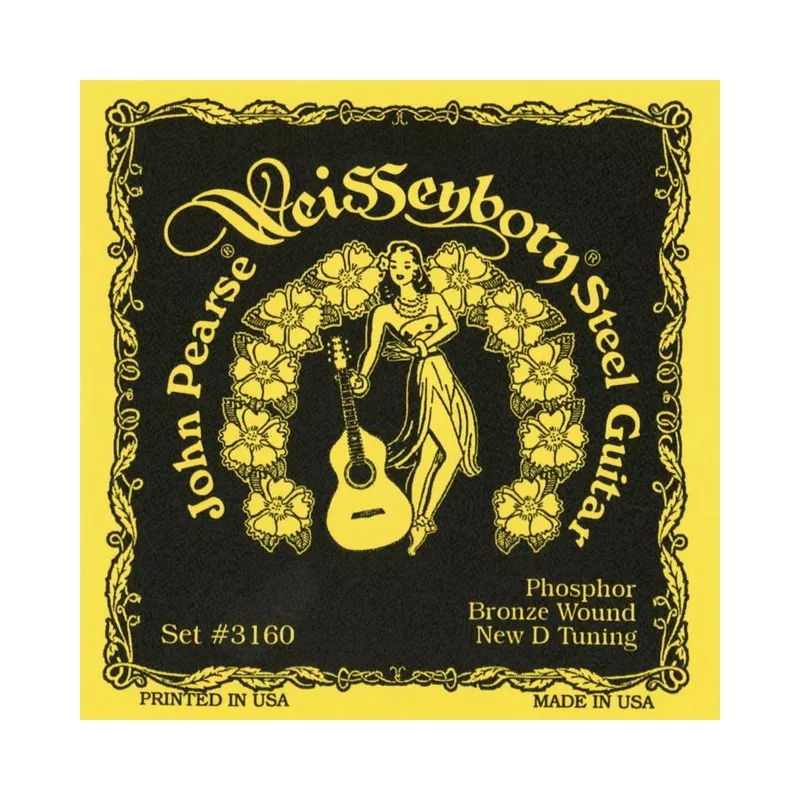 john-pearse-3160-weissenborn-acoustic-slide-guitar-set John Pearse 3160 Weissenborn Acoustic Slide Guitar Set