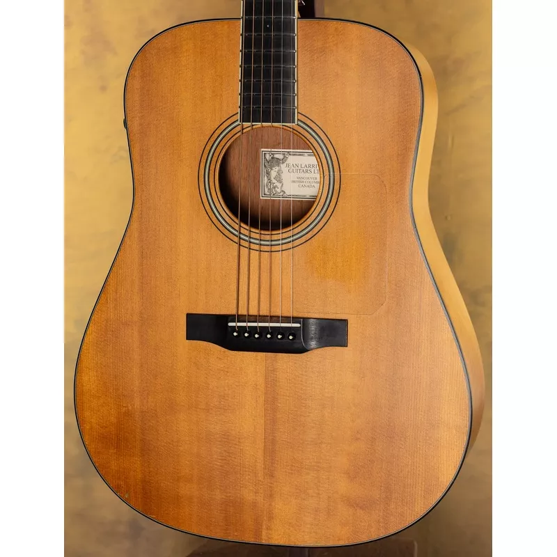 larrivee-d-03e-acoustic-electric-guitar Larrivee D-03e Acoustic Electric Guitar