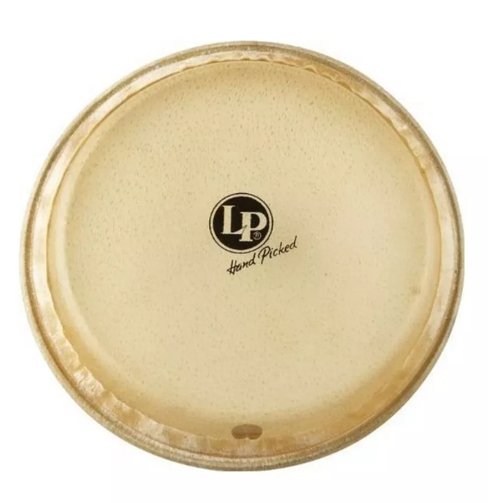 latin-percussion-lp266a-8-jr-conga-rawhide-head Latin Percussion LP266A 8" Jr Conga Rawhide Head