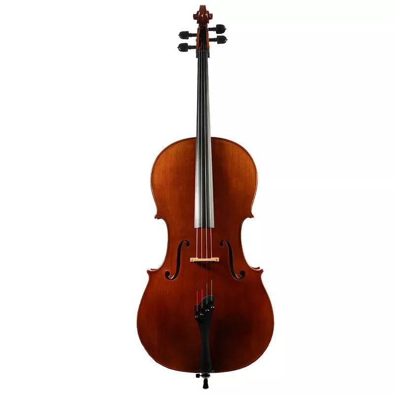 lillo-salerno-workshop-strad-cello-germany-2023 Lillo Salerno Workshop “Strad” Cello, Germany, 2023