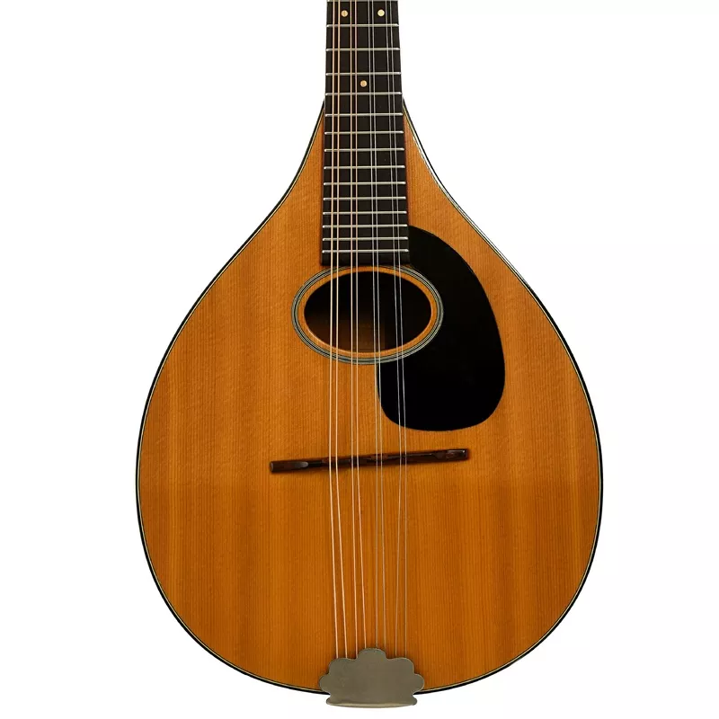 martin-style-mandolin-1974 Martin Style A Mandolin (1974)