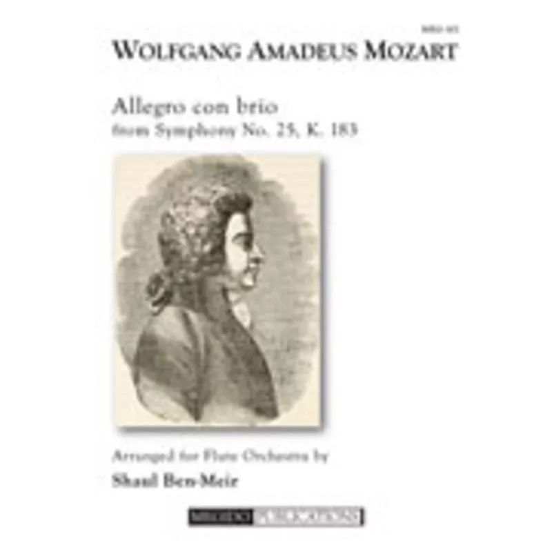 mozart-wa-allegro-con-brio-from-symphony-no-25-k-183 Mozart, WA :: Allegro con brio from Symphony No. 25, K. 183