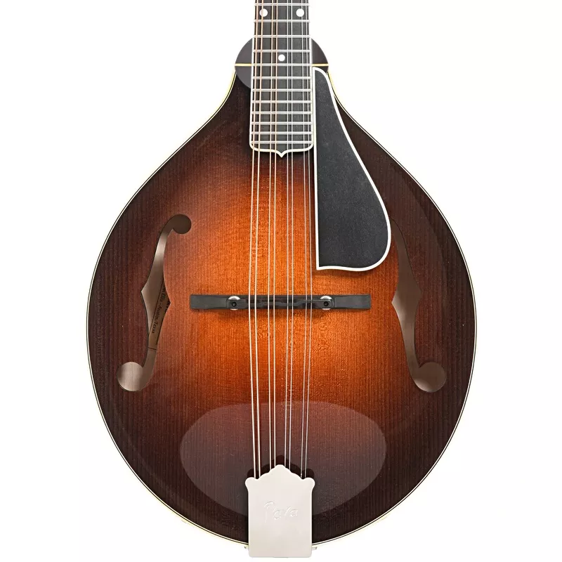pava-a5-pro-model-mandolin-case Pava A5 Pro Model Mandolin & Case