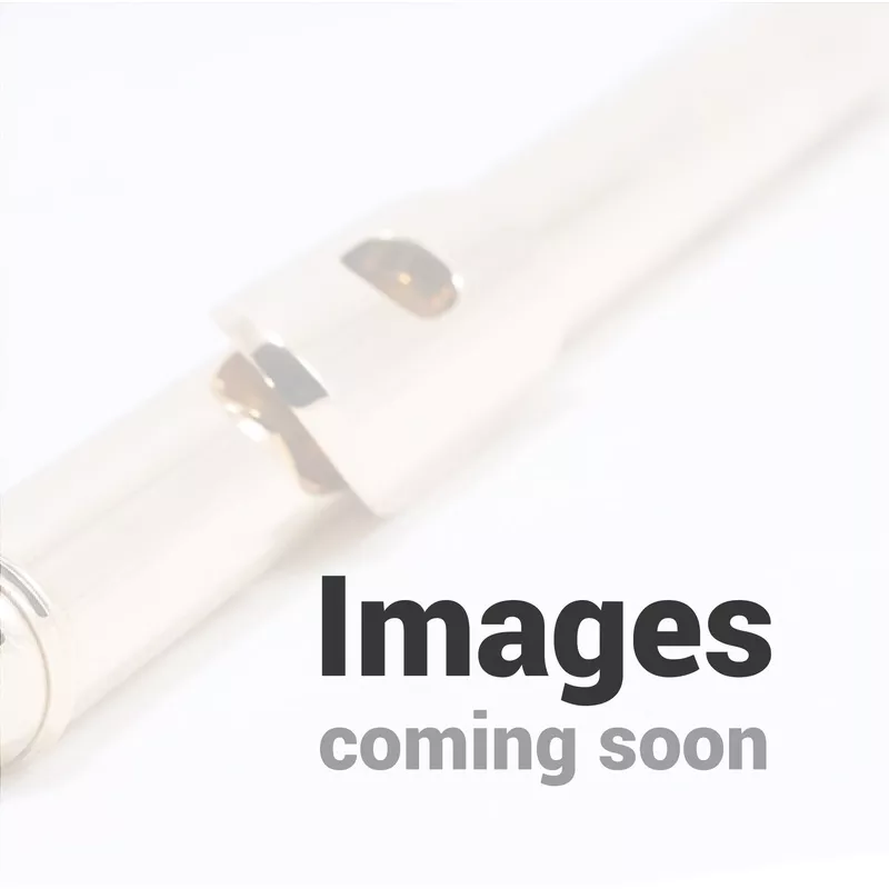 piccolo-selmer-spc711-j0122024-demo-sale Piccolo – Selmer SPC711 #J0122024 (Demo Sale)