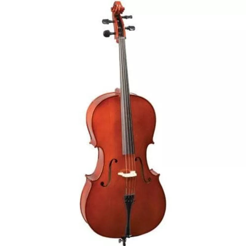 Pre-Owned Franz Hoffmann Amadeus Carved Cello