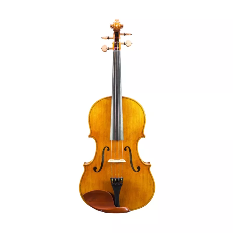 SANDRO LUCIANO – 15″ VIOLA