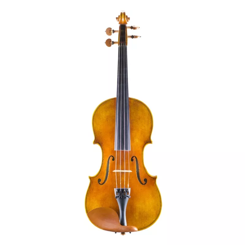 SANDRO LUCIANO SPECIAL EDITION VIOLIN