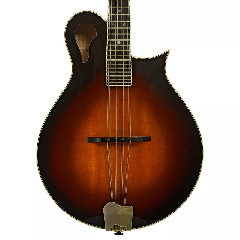tacoma-m-3-mandolin-1999 Tacoma M-3 Mandolin (1999)
