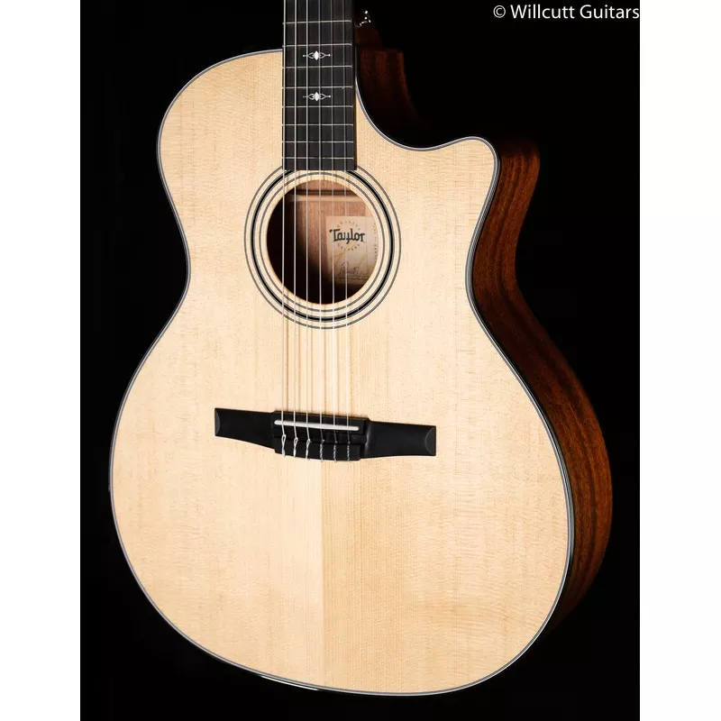 taylor-314ce-n-nylon-grand-auditorium-118 Taylor 314ce-N Nylon Grand Auditorium (118)