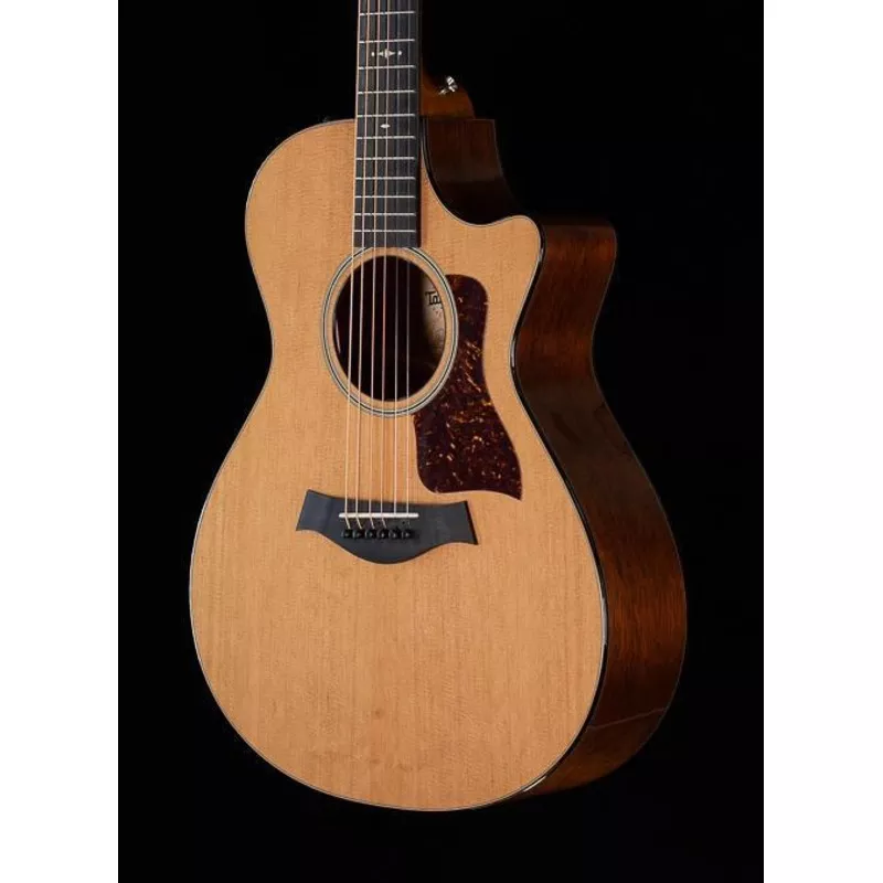 Taylor 512ce V-Bracing (120)