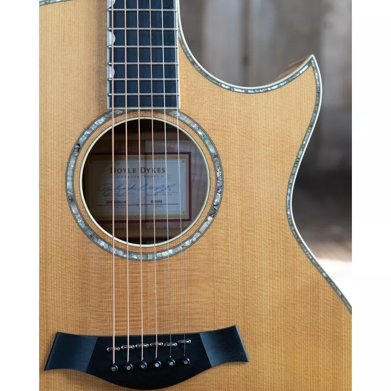 taylor-ddsm-doyle-dykes-signature-modelguitar-2006 Taylor DDSM Doyle Dykes Signature ModelGuitar (2006)