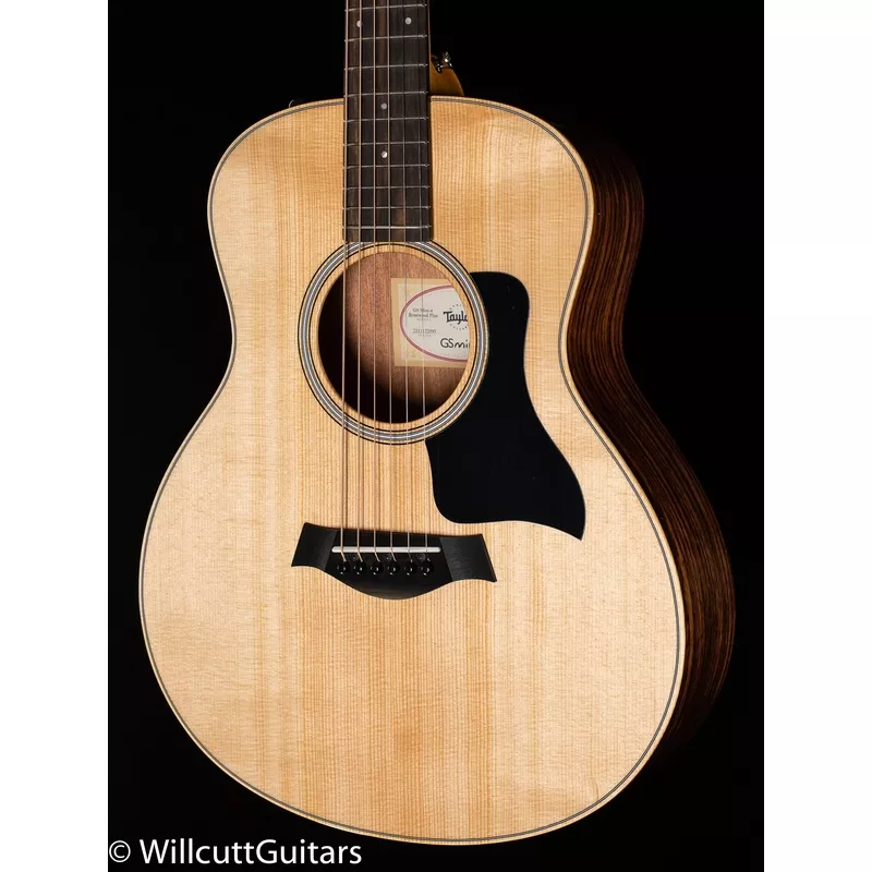 taylor-gs-mini-e-rosewood-plus-095 Taylor GS Mini-e Rosewood Plus (095)