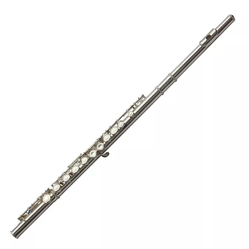 trevor-james-5x-student-flute-outfit Trevor James 5X Student Flute Outfit