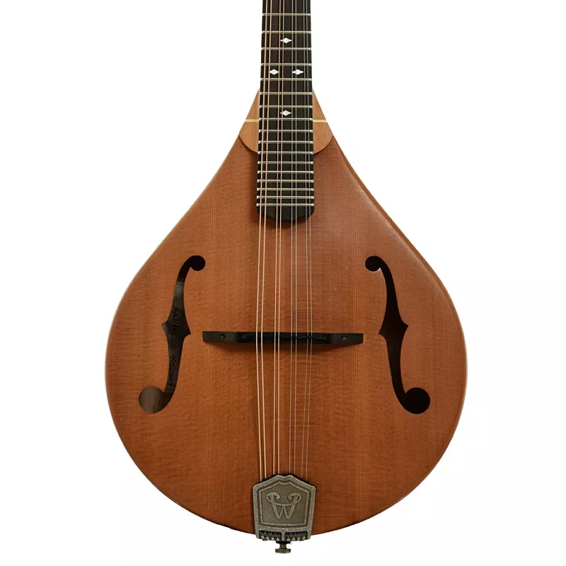 weber-hyalite-mandolin-2002 Weber Hyalite Mandolin (2002)